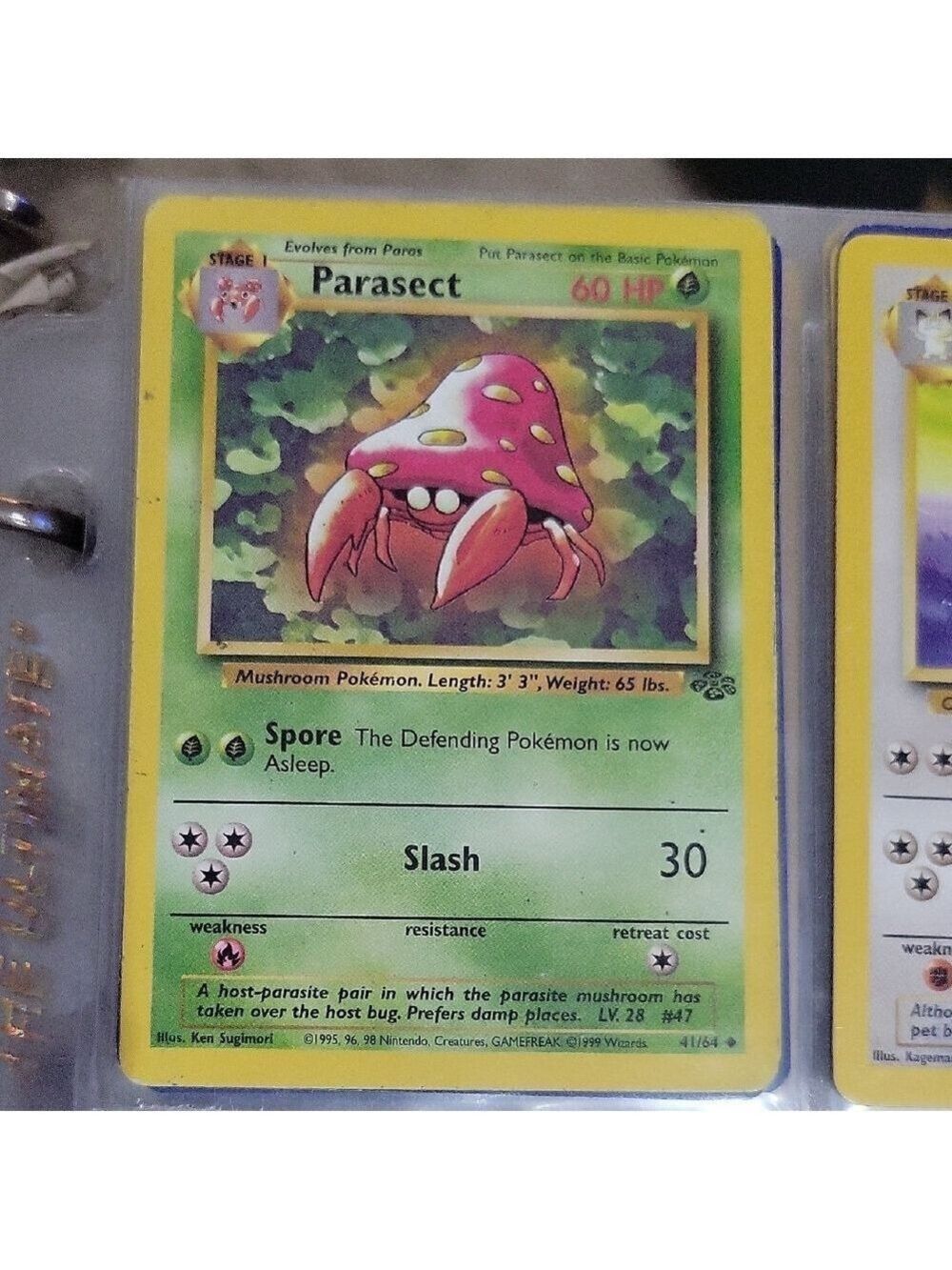 Pokémon Card Parasect